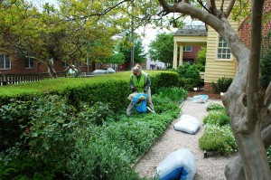 Work inside the Joel Lane House gardens