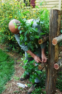 Repairs to cedar fence