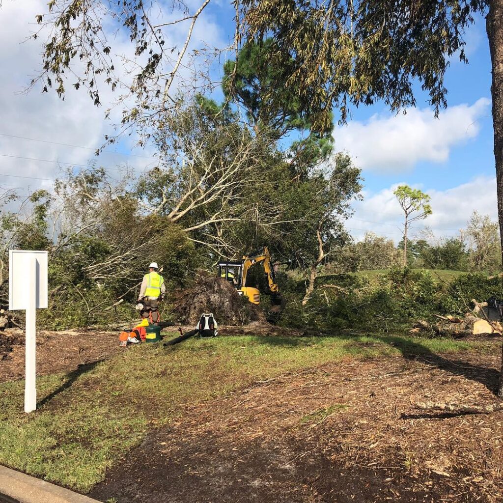 Bland teammembers help remove fallen trees