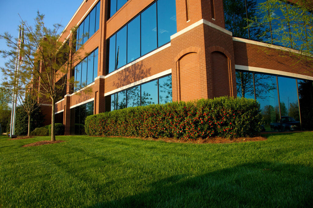 Floriculture and trees alongside the corner of an office building