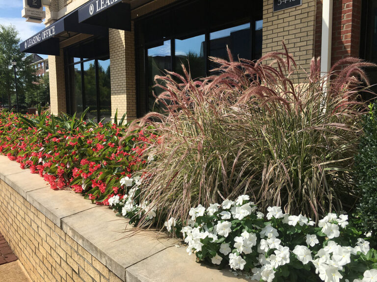 Floriculture in a concrete box outside a leasing office