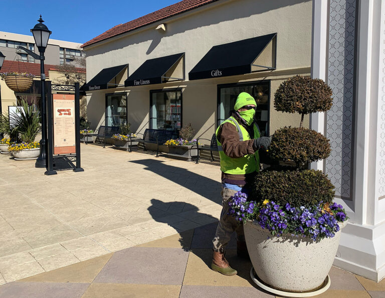 A Bland teammember trimming a topiary bush at Specialty Shops in Charlotte NC