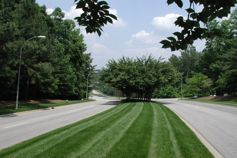 A view of the turfgrass and trees along Weston Parkway
